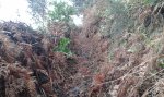 20160110_120326.jpg