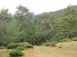 IMG_0393 - copia.JPG
