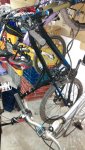 IMAG0458.jpg