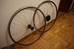 DSC03050.JPG