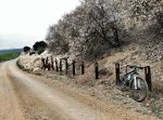 IMG_20160203_162046-01.jpeg