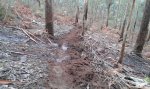 20160110_124013.jpg