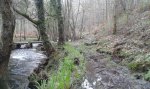 20160123_105127.jpg