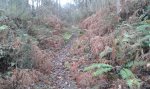 20160123_105240.jpg