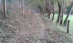 20160123_123415.jpg