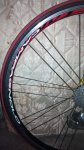 IMG_20160204_094833.jpg