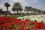 dubai16st1-flowers-1200.jpg
