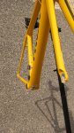IMG_1193.JPG