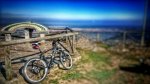 DSC_1668-01.jpeg