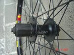 DSC02348.jpg