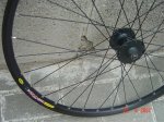 DSC02352.jpg