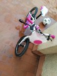 IMG_20160126_182131.jpg