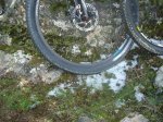 DSC08628.JPG