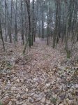 FB_IMG_1454867179237.jpg