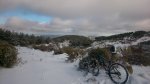 DSC_0190.JPG