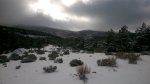 DSC_0196.JPG