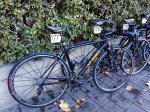 IMG_20160207_084030.jpg