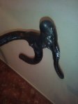 IMG_20160211_104624.jpg