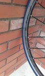 IMG-20160212-WA0010.jpg