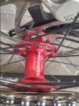20160207_100132_HDR.jpg