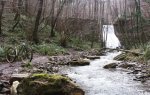 IMG_20160212_131254.jpg