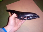 IMG_20160212_170039.jpg