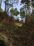 IMG-20160213-WA0015.jpg