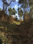 IMG-20160213-WA0018.jpg