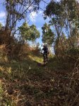 IMG-20160213-WA0019.jpg