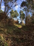 IMG-20160213-WA0022.jpg