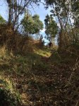 IMG-20160213-WA0028.jpg