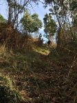 IMG-20160213-WA0030.jpg