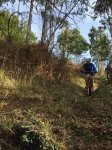 IMG-20160213-WA0033.jpg