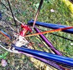 IMG-20160201-WA0027.jpg