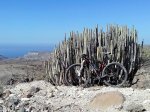 IMG_20160205_114922.jpg