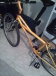 IMG_20160214_205434.jpg