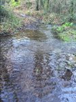 IMG_6783.JPG