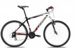 orbea.jpg