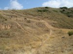 DSC02371_resize_resize.JPG