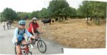 Panoramica pequeruta Lozoya 2 [640x480].JPG