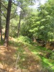 IMG_0956.jpg