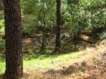 IMG_0957.jpg