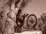 DSC07842.JPG