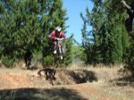DSC07868.JPG