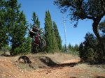 DSC07869.JPG