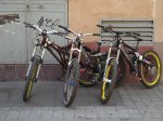 DSC07873.JPG
