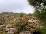 Imagen007as.jpg