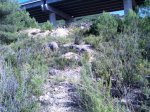 Imagen009as.jpg
