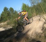 IMG_3375.JPG