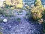 Imagen034AS.jpg